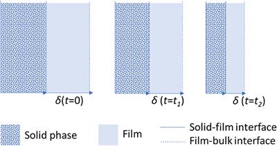 Advanced Shrinking Particle Model for Fluid-Reactive Solid Systems